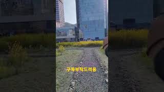 루카는 오늘도 훈련 #청금강앵무새