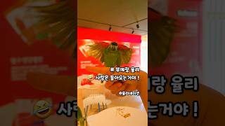 #앵무새개인기 #율리 #한스마카우