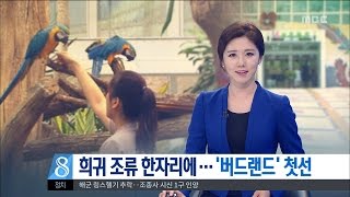 [대전MBC뉴스]희귀 조류 한자리에··&#39;버드랜드…