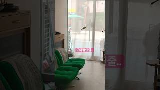 멀리서보면 도마뱀 매달려있는 줄…#birds #parr…