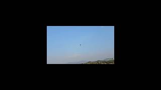 까치한테 쫓기던 청금강은 그만