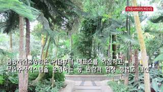 충남도 금강자연휴양림  볼거리제공 충남도청 양승조도지사…