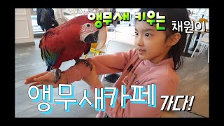 키우는 코뉴어앵무새를 앵무새카페에 데리고 가서!! 같이…