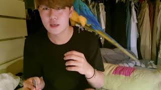 청금강(오늘이)의 부리가 깨져버렸어요....ㅠ feat…