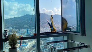 [청금강][자유비행] 앵무새 35층 번지점프!?