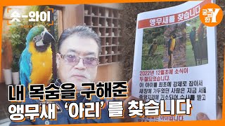 [Y 628회 요약] 앵무새 '아리'의 마지막 행적을 알고 있는 사람은? | 숏와이