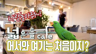 앵무새 이색동물카페 넓은들카페에서 행복한 시간을 보내고…