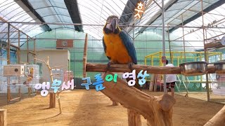 청금강 구름이의 영상