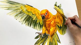 누가 저 앵무새 좀 잡아주세요!!!!!!! ( Bird…