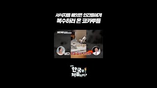 서식지를 빼앗은 인간들에게 복수하러 온 코카투들 l #…