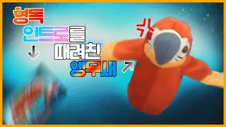 [형독 인트로 콘테스트 참가작, 반응영상]형독 인트로를 때려친 앵무새