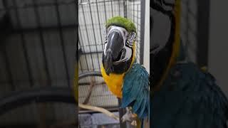 삐딱하게~                         …