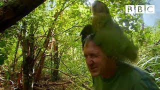 Shagged by a rare parrot | Las…