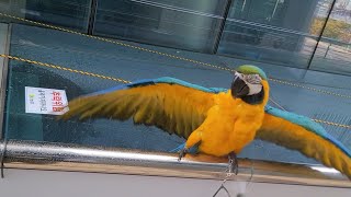 목욕하고 쉬고 있는 루카