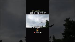 똑같은 앵무새가 하늘을 날면 주인은 자기 앵무새를 알아볼까?