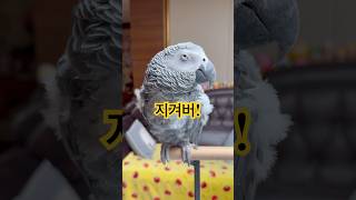 퇴근한 아빠는 반갑고, 카메라 든 엄마는 지겹고ㅋㅋㅋ