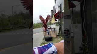 호출훈련중인 홍금강 Rich