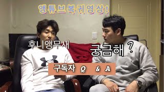 앵튜브 다시 시작 ! ! (앵무새키우기_질의응답_앵무새…