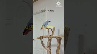 앵무새ㅡ순돌아 에어컨 좀 비싸네