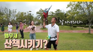 [몽냥꽁냥다이어리] ep18_2 앵무새도 산책을 한다고…