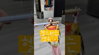 헬스하는 앵두#귀여운#앵무새#앵두#코뉴어#헬스#Shor…