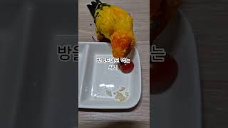 방울토마토 맛을 알게된 써니!  #썬코뉴어 #parrot #앵무새 #방울토마토 #cherry tomatoes  #맛 #taste #알게된 #know #써니