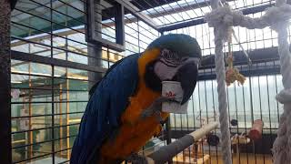 아메리카노 마시는것 같은 청금강 구름이