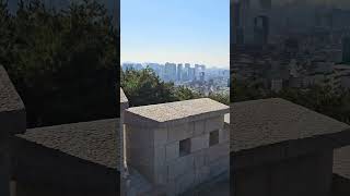 남산에서 비행하고 있는 청금강앵무새 #앵무새자유비행