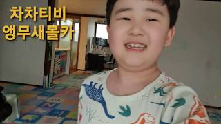 차차티비ㅡ지옥의 앵무새 몰카!ㅡ