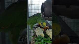 아침 영상 하나 더 있어서 올려 봅니다