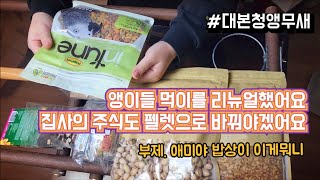 앵무새 먹이에 대한 #대본청앵무 의 주관적인 리뷰, 펠…