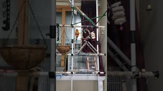 썬코뉴어 쿠쿠와 다스