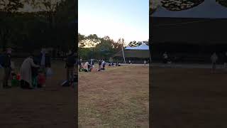 자유롭게 날아 다니다가 주인에게 돌아오는 앵무새 #앵무…