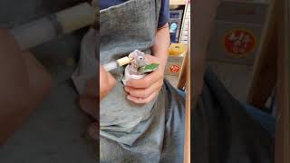 코뉴어  앵무새 2탄