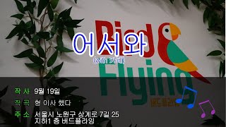커피 파는 앵무새 버드플라잉(이사하는데 죽는줄 알았습니…
