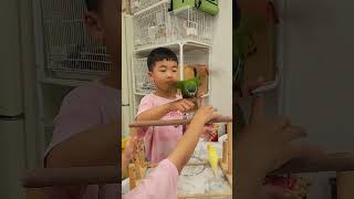 멋진 한스마카우