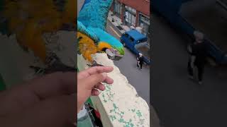 목욕하고 기분좋은 청금강앵무새 루카