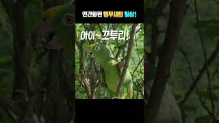 아빠 왜? 나한테 짜증내?