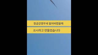 청금강앵무새 울음소리 반복재생