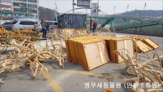 앵무새동물원(인천조류원) 2017년 자바트리 수입