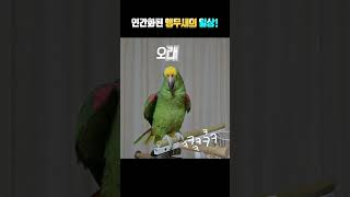 드디어 터졌다!! 별이노래 ㅎㅎ