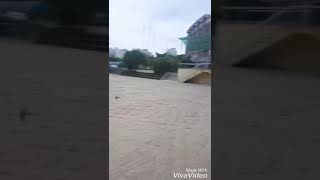 코뉴어 자유비행