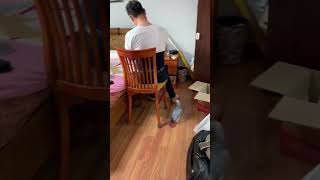 노재의 십년 기른 회색앵무ㅡ이름 불새