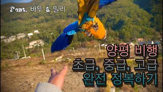 양평 카페 마카우 DAY 3 [양평 비행장 정복하기!][우리나라 유일 마카우들 만나보기]