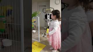 아마존앵무 꾸잉이 놀기