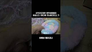 어디에 쓰는 앵무새 용품일까요...? #앵무새 #코뉴어 #썬코뉴어 #parrot