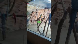 앵무새 .. #일상 #풍경 #shots