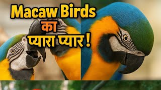 Nature Ki Sabse Khoobsurat Jod…