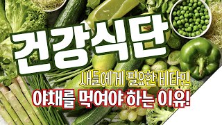 앵무새 키우기 시작하셨다면 야채도 꼭 챙겨주세요!