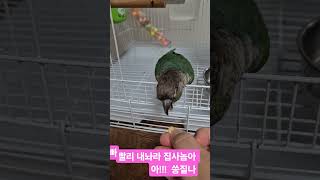 성격나쁜코뉴어